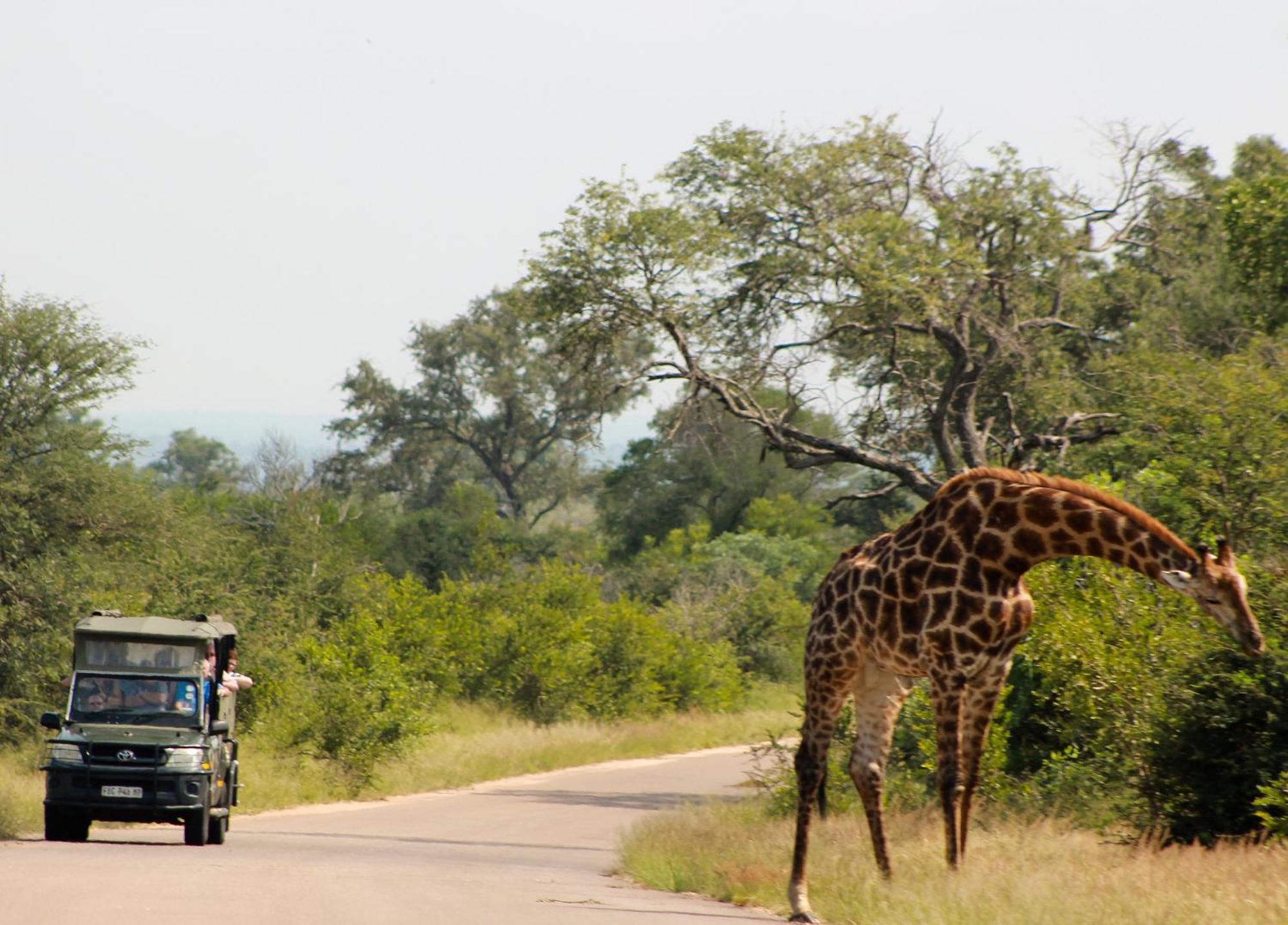 Aha Skukuza Safari Lodge Kültér fotó